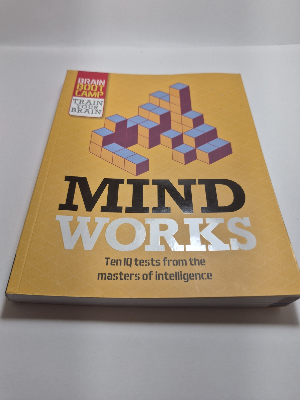 Mind Works Puzzle Book - Yellow Cover